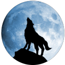 🎵明月浩空网-永久免费的HTML5网站音乐播放器